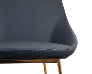 Set of 2 Lucia Dining Chairs - Blue
